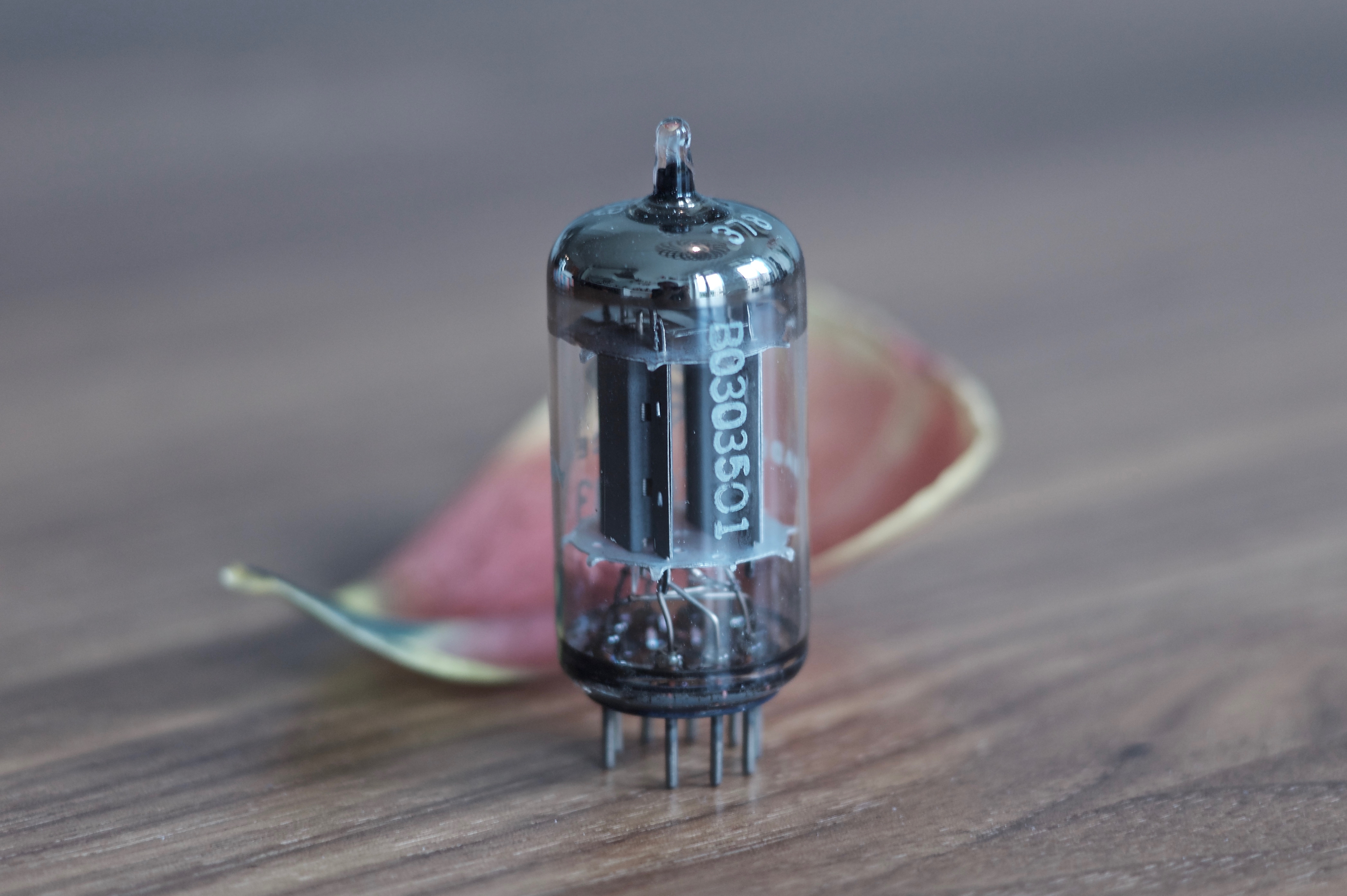 Introducing a Legend, Telefunken ECC83 Smooth Plates – Medialux